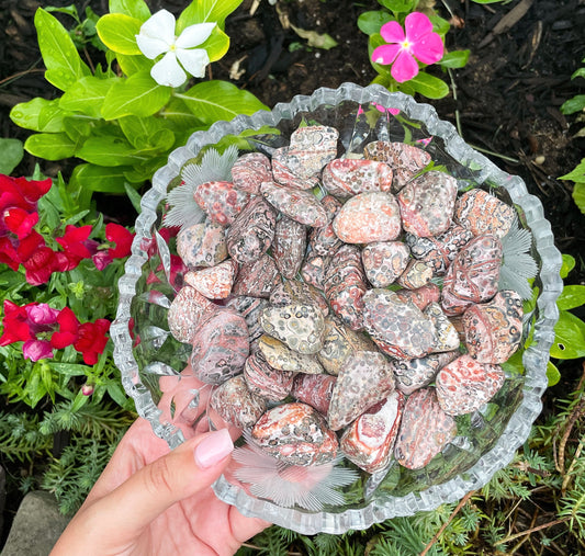 Leopard Skin Jasper Tumble