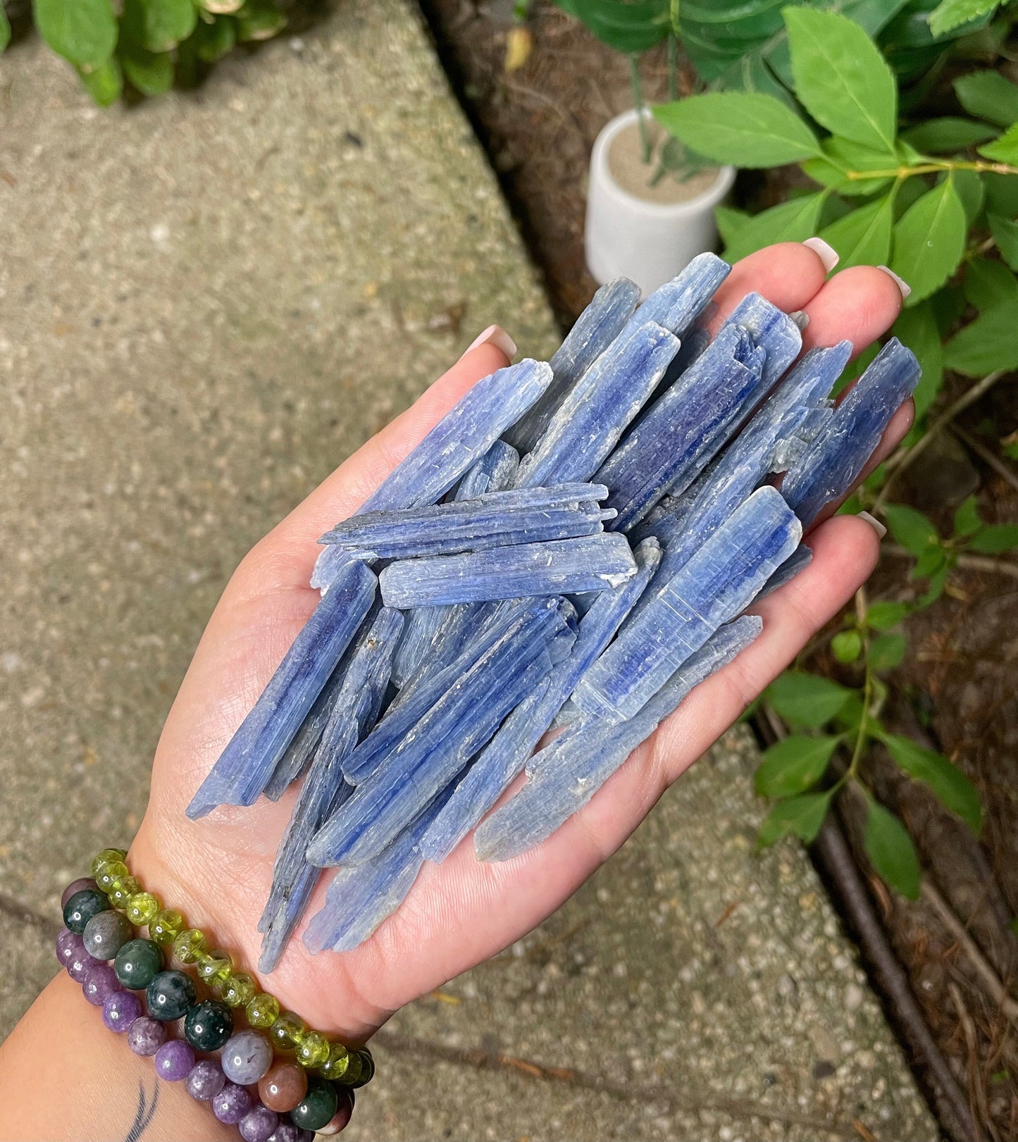 Blue Kyanite Blades