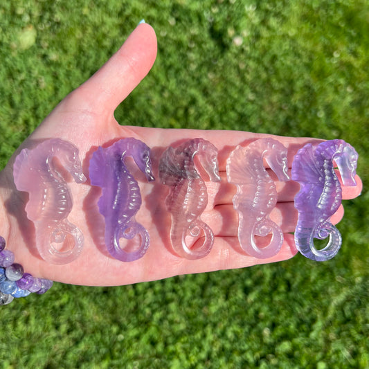 Rainbow Fluorite Seahorse Carving