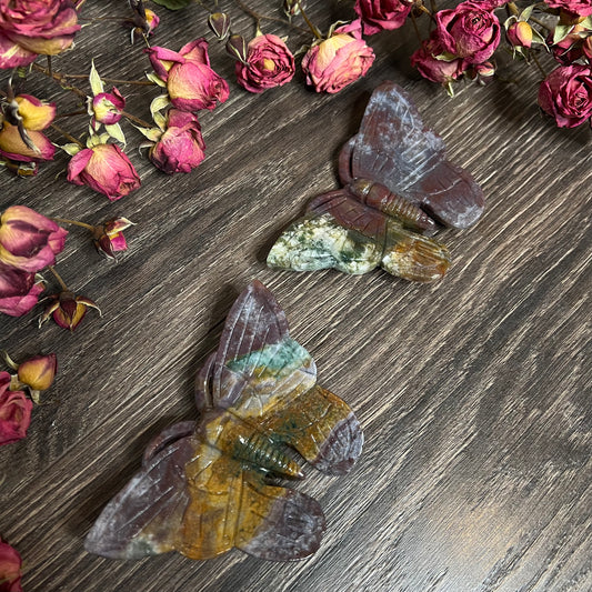 Ocean Jasper Butterfly | Intuitively Chosen